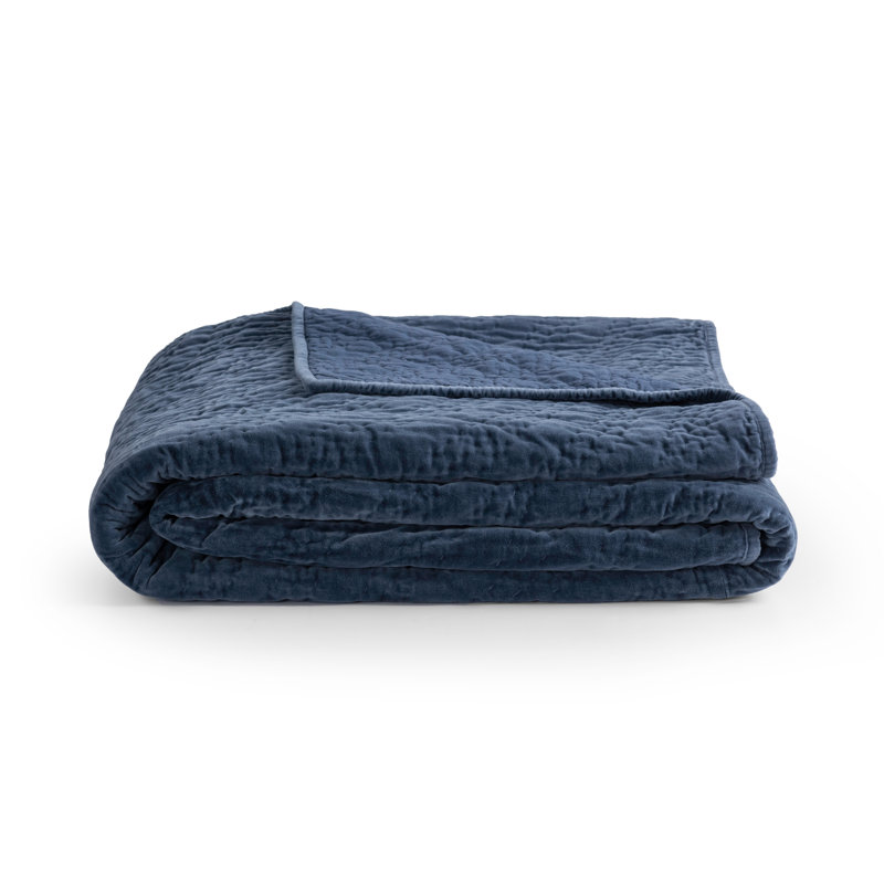 Elms 4-Piece Velvet Cotton Blend Quilt Set, Blue