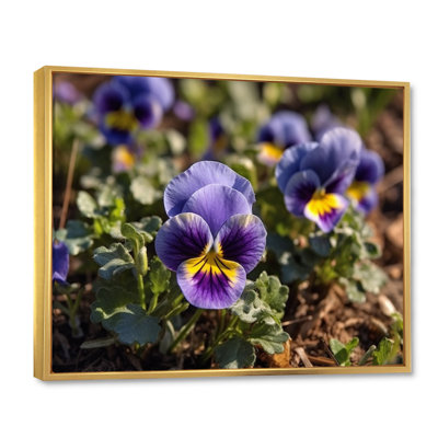 «Purple Yellow Pansies Harmony I» sur toile