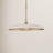 Hinkley Sadie 24" Large Saucer Shaped Chandelier-116828735-128261228