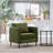 Accent Chair For Living Room-1883313566