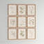Cadre blanc Ridgewood Botanical Illustration, ensemble de 9