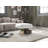 Ahva Faux Leather Ottoman