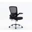 Mesh Task Chair-1066850735