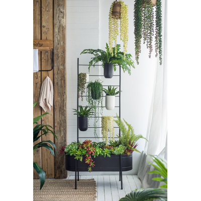 Multi-Tiered Plant Stand with Buckets and Trough - 32" x 14" x 60" - Black