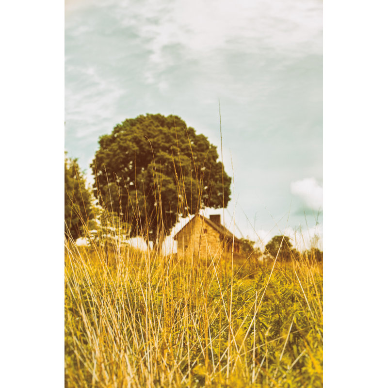 Herbe et ciel par Aledanda - photographie sur toile tendue, H 36 po x l 24 po