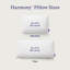 Coussin The Harmony-1065014552-1065014555