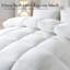 Grand édredon en plumes rembourré de plumes et de duvet toutes saisons, édredon de lit moelleux 100% coton
