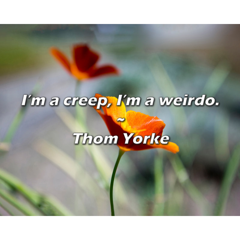 Citation artistique «I'm a fluage, I'm a weirdo». Toile tendue par Thom Yorke Gallery