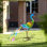 1 ornement de jardin en forme de paon en métal avec des plumes multicolores vibrantes - une décoration contemporaine pour les espaces intérieurs et extérieurs, fabriqué en métal robuste