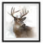 « rainsoft cerf », impression encadrée-1667625313