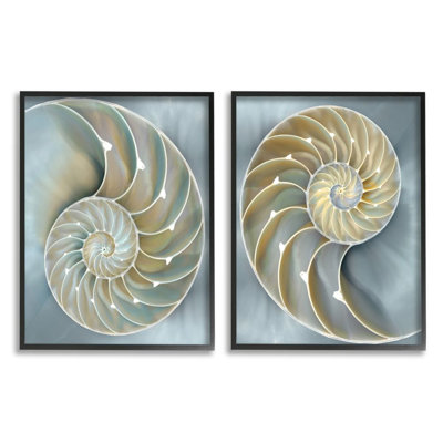 «Intricate Nautilus Interior Natural Geometric» par Caroline Kelly - impression d'art graphique