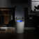 Auto Open/Close Smart Bidet Toilet with Built-in Tank, Auto/Blackout Flush, Power Outage Flush