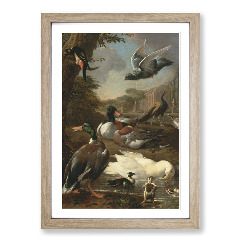 Collection of Birds Vol.2 by Melchior D'Hondecoeter - Picture Frame Painting, 36cm H x 27cm W x 2cm D, Oak Framed