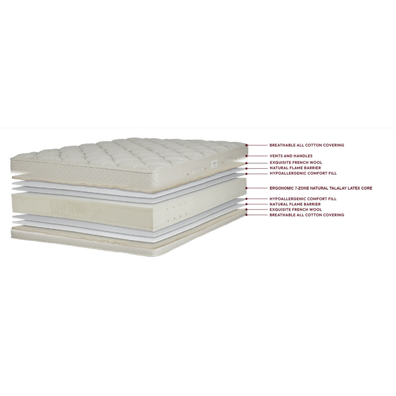Classic 9.5'' Medium Latex Mattress and Box Spring Set, Queen