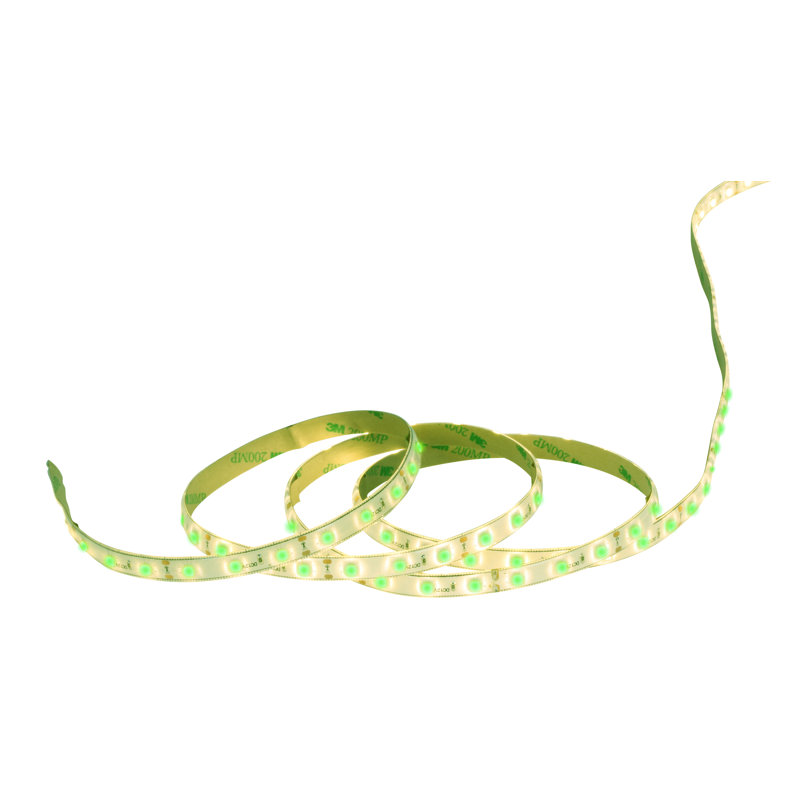 Detwiler 500 cm LED Strip Light, Green
