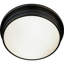 Roderick 2 - Light Flush Mount-7125472