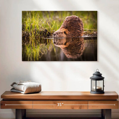 Beaver