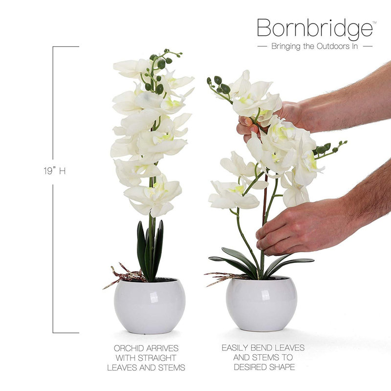 Orchidée artificielle dans un vase, Blanc