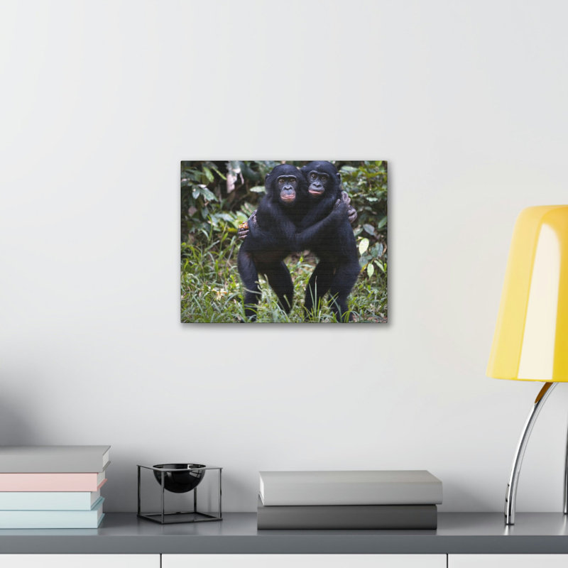 No Frame Print on Canvas, 30.48cm H x 40.64cm W