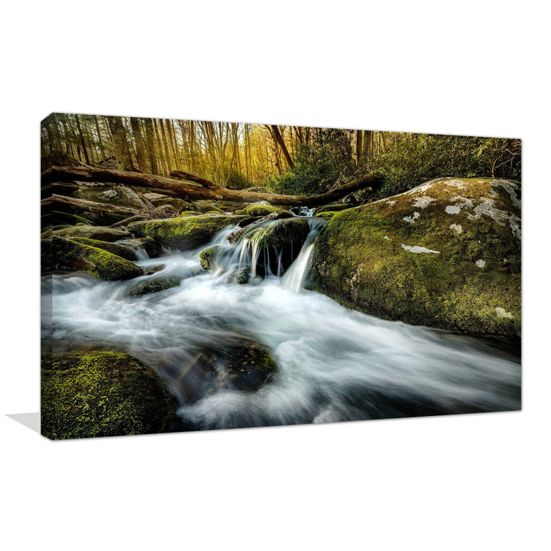«Fallen Timber», reproduction de photo, H 18 po x l 30 po x P 1 po, Toile tendue
