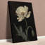 1 Piece Wrapped Canvas Wall Art