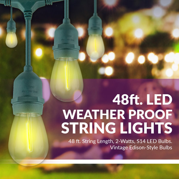 Wayfair Basics® 48' Outdoor 15 Bulb Standard String Light  Reviews  Wayfair