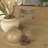 Lauren Liess Modern Gathering Table