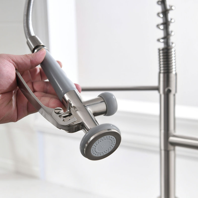 FLG Pull Down Kitchen Faucet