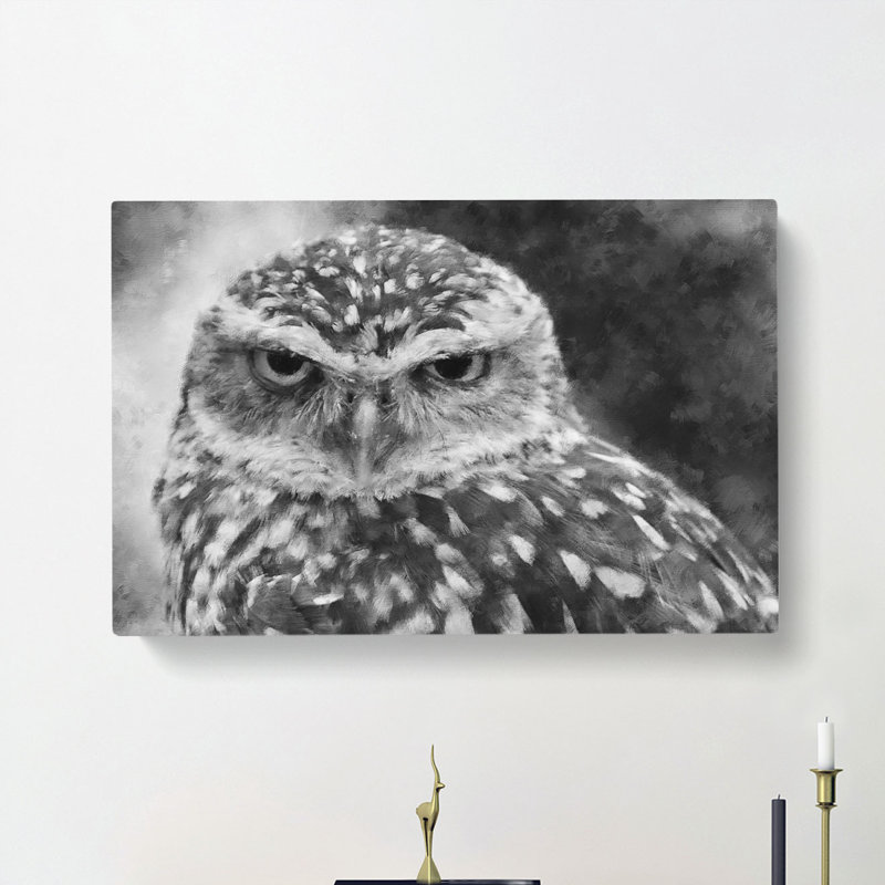 Little Owl - Wrapped Canvas, 40cm H x 60cm W x 3cm D