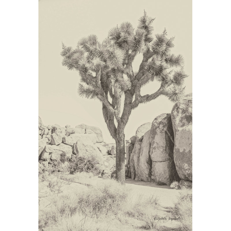 Joshua Tree IV neutre, H 48 po x l 32 po