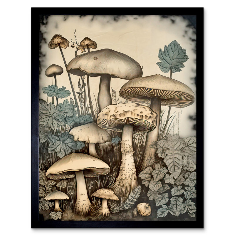 Aksoyn Mushroom Fungi - Single Picture Frame Print