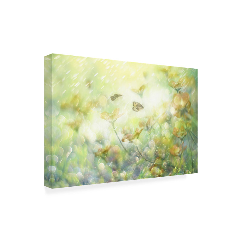 Art sur toile "ologine bol "par Delphine Devos, H 16 po x l 24 po