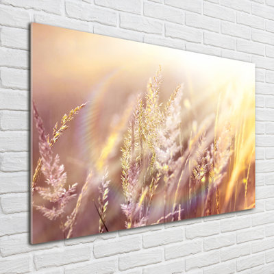 Tall Grass - No Frame Print on Glass