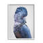 «Stupell Industries Grey Cockatoo Portrait», art mural sur toile par Sissi et Seb-91328140-91328142