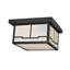 2 - Light Flush Mount