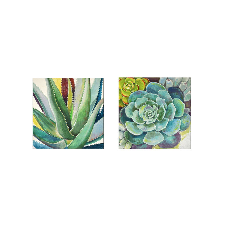 «Brilliant Succulents I / II» par Norman Wyatt Jr. - Ensemble d'impressions sur toile tendue, H 12 po x l 24 po, Toile tendue
