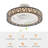 Analice 18.5 Inch Modern Creative Invisible Acrylic Ceiling Fan Light With Remote Control