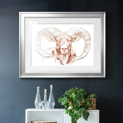 " Big Horn Sheep I "