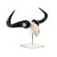 Mounted Wildebeest Skull Plate