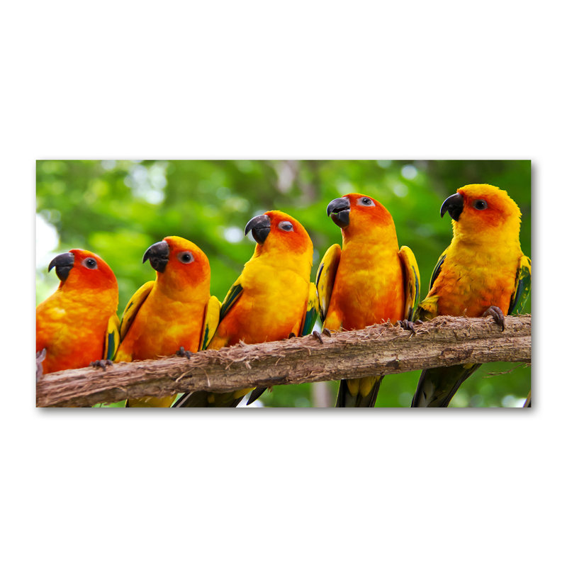 Parrots On The Branch - No Frame Print on Glass, Wrapped Canvas, 70cm H x 140cm W x 2cm D