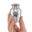 Urne pour animal de compagnie décorative miniature-66342327