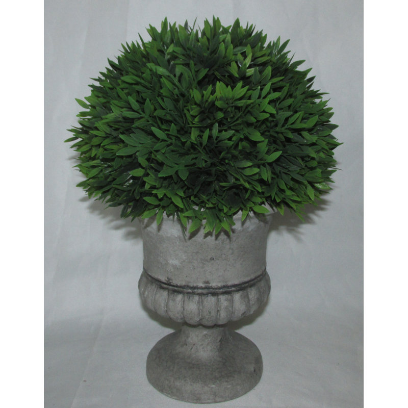 12 " H Faux Cedar Topiary in Ceramic Urn