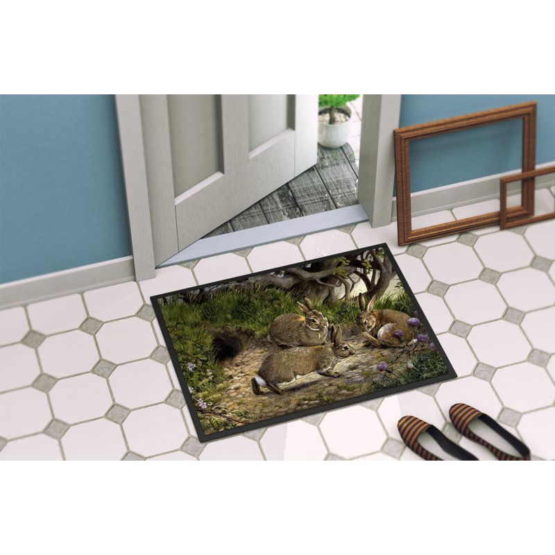 Vergennes Non-Slip Indoor / Outdoor Doormat, Rectangle 2' x 3'