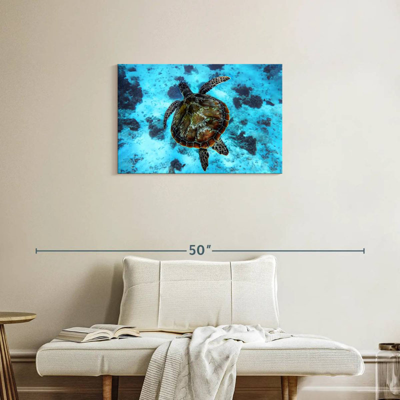 Brampt Turtle Habitat, 20" H x 30" W