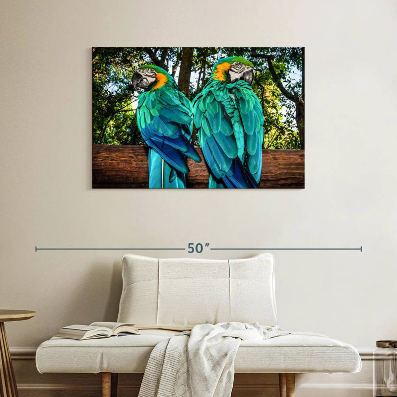 Brampt Macaw Parrots, 26" H x 39" W