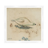 White Bird Print