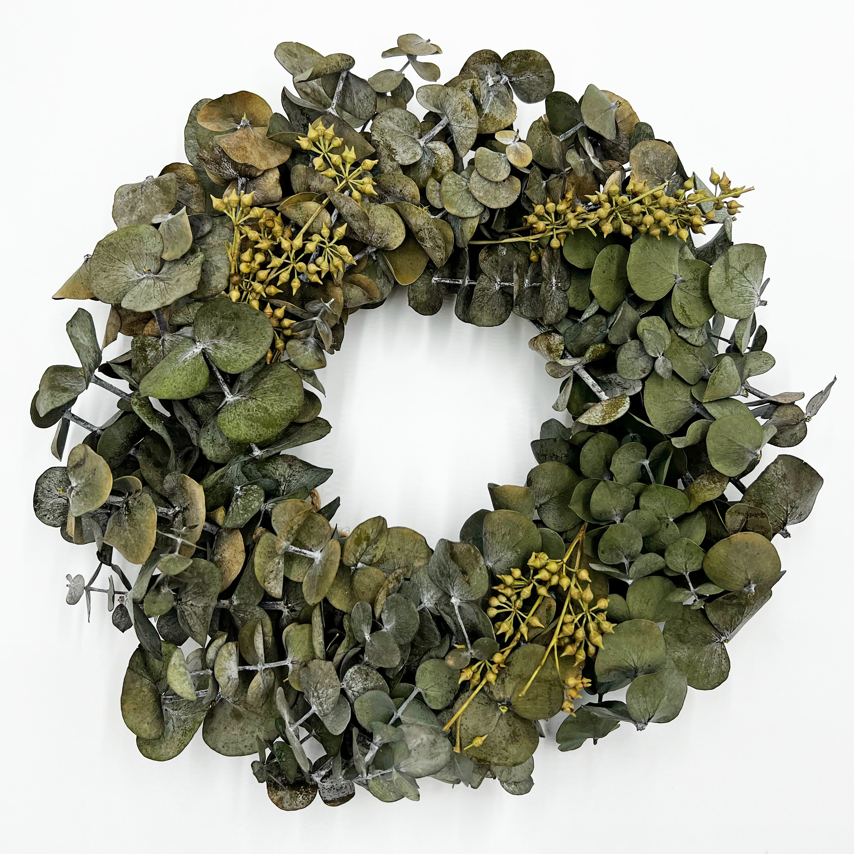 Primrue Spring Wreath Primrue Preserved Spring Eucalyptus Wreath & Reviews | Joss & Main