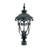 Appalachian Seeded Lantern Head-22173510