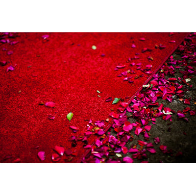 Leiann Rose Petals - Wrapped Canvas Print