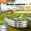 Lit de jardin surélevé en métal H 11 po x l 48 po Carlicia